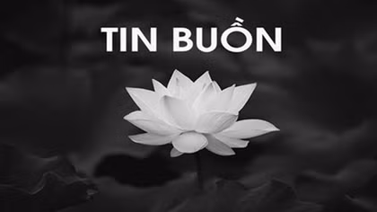 Tin buồn: Thượng tá Đỗ Đoàn Sinh từ trần