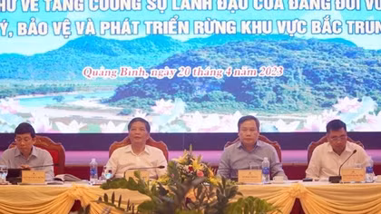 Tăng cường sự lãnh đạo của Đảng đối với công tác bảo vệ và phát triển rừng