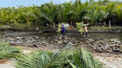 Khai thác hiệu quả lợi thế vùng đầm phá Tam Giang - Cầu Hai
