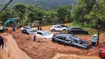 Sau thanh tra, rừng Sóc Sơn vẫn bị lấn chiếm