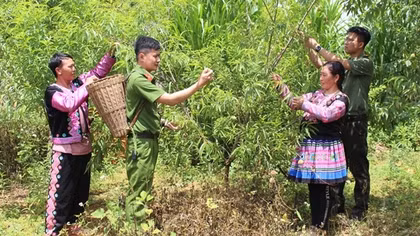 Ngược miền biên viễn làm con đồng bào