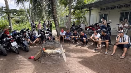 Liên tiếp triệt phá các sới bạc ở Vĩnh Long