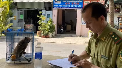 Đóng cửa đi ngủ, rùng mình phát hiện con thú lạ
