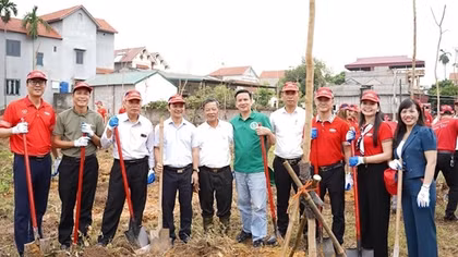 Dai-ichi Life Việt Nam tiếp tục triển khai Dự án “Trồng cây xanh đô thị” tại Hà Nội