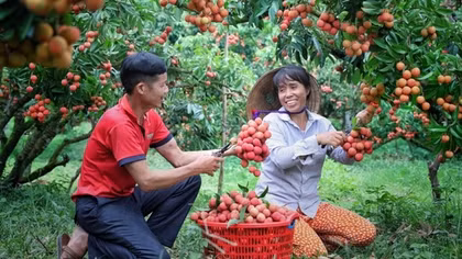 Làm gì để xây dựng thương hiệu Việt tại thị trường EU?