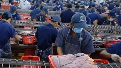 Kinh tế tuần hoàn - "Tấm hộ chiếu xanh" giúp doanh nghiệp mở rộng thị phần xuất khẩu