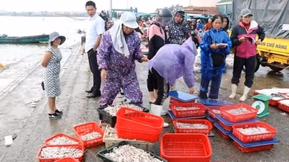 Rộn ràng mở “cửa biển” đón lộc xuân