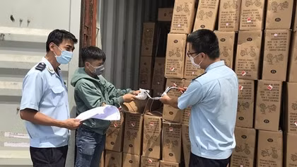 Ngăn ngừa thất thu thuế gần 120 tỷ đồng từ tham vấn, điều chỉnh giá thuế hàng hóa