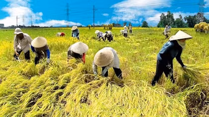 Bắc Bộ nắng chói chang, trời oi bức