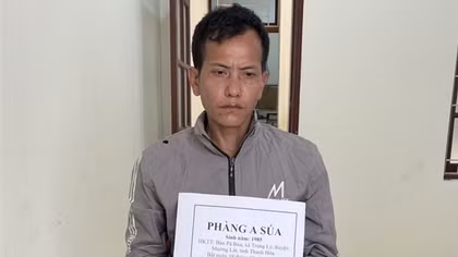 Dựng chòi trên núi, mua ma tuý về bán cho các con nghiện