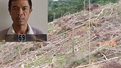 Khởi tố đối tượng phá 2,5 ha rừng tự nhiên