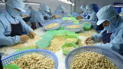 Doanh nghiệp gặp khó vì lãi suất ngân hàng cao