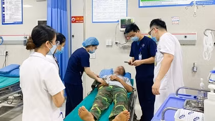 Tự chữa rắn cắn bằng đắp thuốc lá, nguy hại khôn lường
