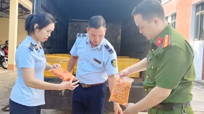 Thu giữ hơn nửa tấn trứng non nghi nhập lậu từ Trung Quốc