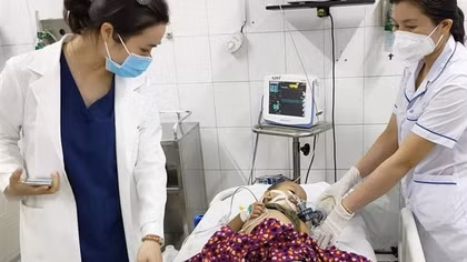 Rắn hổ mang bò vào giường cắn bé 2 tuổi nguy kịch