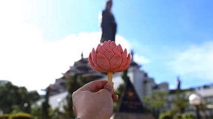 Độc lạ cây kem trên núi Bà Đen