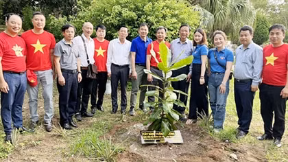 Nơi ấy Bạch Long Vĩ