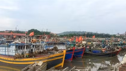 Ngư dân Hải Phòng khốn khổ vì đăng kiểm tàu cá