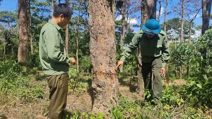 Một huyện ở Quảng Trị thu hồi 71 sổ đỏ do cấp sai quy định