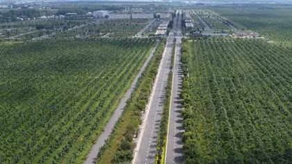 Chủ đầu tư dự án Gem Sky World bị kiến nghị xử phạt 900 triệu đồng