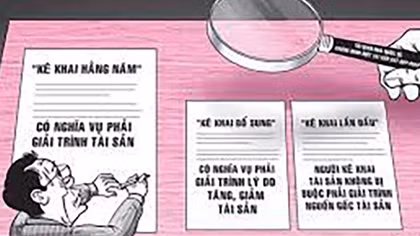 Kê khai biệt phủ