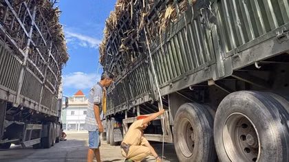 Phát hiện đoàn xe container chở mía quá tải đến 100% trên Quốc lộ 22