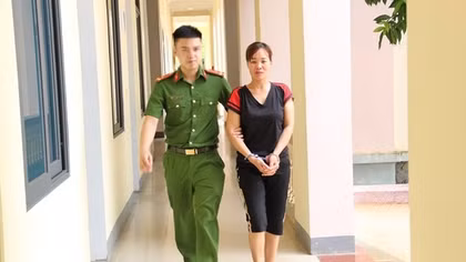 Bán rừng không văn tự
