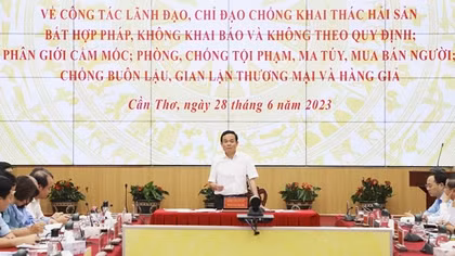Phó Thủ tướng Trần Lưu Quang chủ trì hội nghị “4 trong 1”
