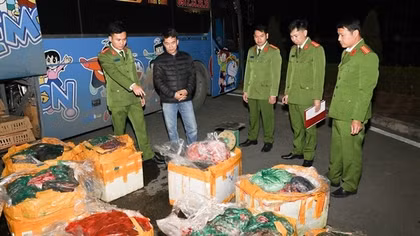 Gần 900 kg thực phẩm hôi thối theo ô tô lên miền núi tiêu thụ