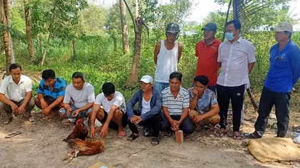 11 người tụ tập trong vườn dừa để đá gà ăn tiền