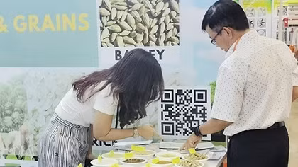 Nghịch lý ngành sản xuất thức ăn chăn nuôi