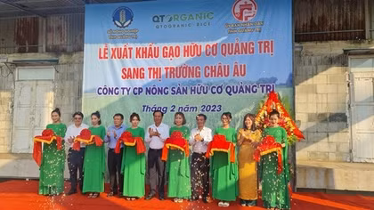 Quảng Trị xuất khẩu 15 tấn gạo hữu cơ sang thị trường châu Âu