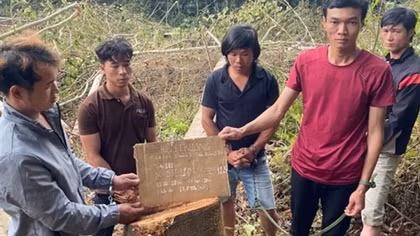 Bắt 6 đối tượng phá gần 1ha rừng tự nhiên
