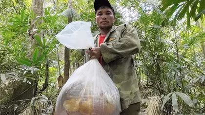 Săn “lộc rừng” ở đại ngàn Trường Sơn