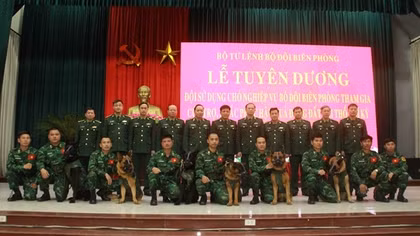 Tuyên dương lực lượng Biên phòng làm nhiệm vụ cứu hộ, cứu nạn tại Thổ Nhĩ Kỳ