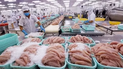 Gỡ khó cho doanh nghiệp sản xuất, xuất khẩu