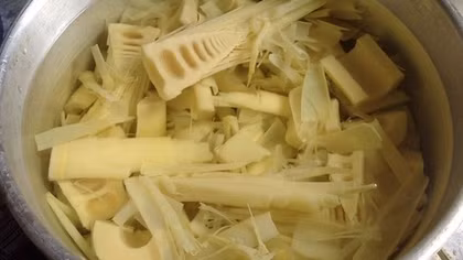 Ngộ độc nguy kịch do ăn măng