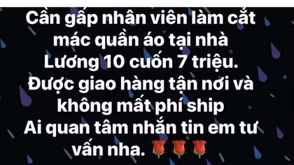 Lừa bán cây cảnh, tuyển nhân viên “cắt mác quần áo” để chiếm đoạt hàng trăm triệu đồng