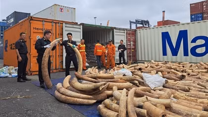 Đẩy mạnh chống buôn lậu, hàng giả vùng biển Đông Bắc