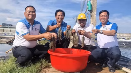 Về xứ Dừa, nghe chuyện nông dân tỷ phú…