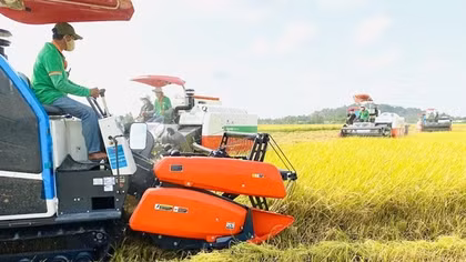 Cơ hội và thách thức trong sản xuất, xuất khẩu gạo của Việt Nam