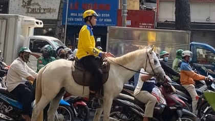 Bị phạt hành chính vì… cưỡi ngựa nghênh ngang trên phố