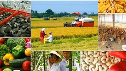 Đề xuất phân loại hợp tác xã theo 4 quy mô