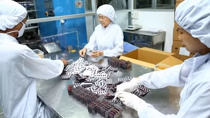 Buộc thu hồi hàng trăm triệu đồng nhập khống vật tư y tế
