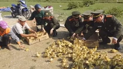 Giáo dân Quảng Bình thi đua sống tốt đời, đẹp đạo