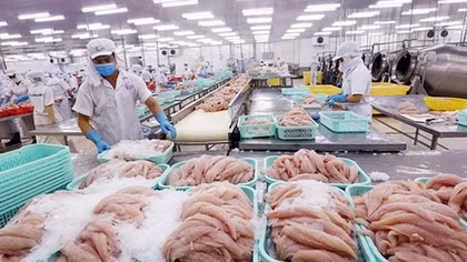 Đạt tiêu chuẩn “xanh” để chinh phục thị trường