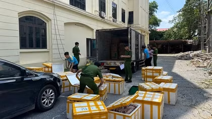 Cả tấn vó bò, móng giò trôi nổi “tập kích” vào nhà hàng, quán nhậu
