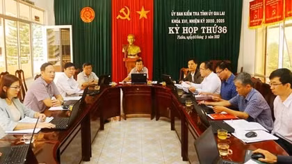 Gia Lai kỷ luật và đề nghị kỷ luật nhiều tổ chức đảng, đảng viên