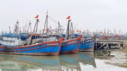Tàu cá bị phạt hơn 932 triệu đồng vì khai thác hải sản bất hợp pháp