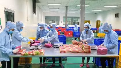Cần ưu tiên giải quyết điểm nghẽn trong sản xuất chế biến lương thực thực phẩm